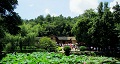 長沙出發(fā)到花明樓、韶山、張家界國家森林公園、天門仙山國家森林公園四日游